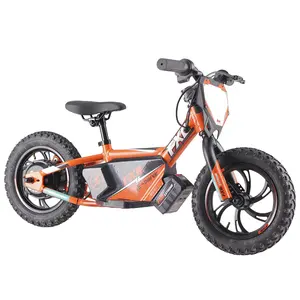 Kids Electric Balance Bikes Motor Electric Motorcycle FXB 36V 250W With CE ROSH