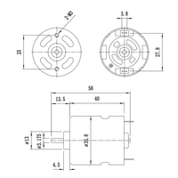 Motor DC Mikro Magnet Permanen Bersikat 12V 20000RPM 49.62W untuk Peralatan Rumah Tangga, Ukuran Dapat Disesuaikan, Langsung dari Pabrik RS530/RS535