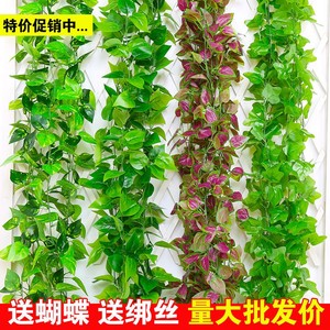 Vignes artificielles raffinées de type Pothos, 10cm-30cm, feuilles en plastique, ensemble de décoration murale - Product Image 3
