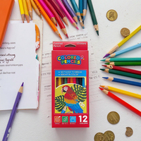 Vente en gros Ensemble professionnel de 12 crayons de couleur hexagonaux en bois aiguisés pour les écoliers