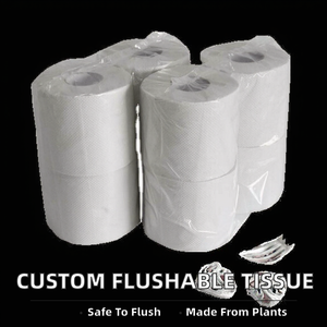 Papier toilette et papier hygiénique de haute qualité, bon marché, personnalisé, marque privée NPP, 2 plis, en pâte recyclée, jetable, rouleau standard - Product Image 2