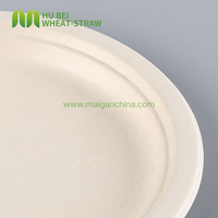 Vaisselle jetable biodégradable sans PFAS OEM, assiettes rondes en bagasse de canne à sucre de couleur naturelle de 8/9/10 pouces pour la restauration de fête