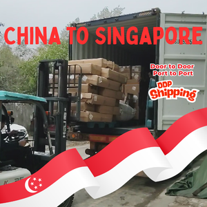 Comprar Productos en Línea, Agente <span class=keywords><strong>de</strong></span> Envío Aéreo y Marítimo Más Barato, Transitario, Servicios Logísticos Desde China DDP a Singapur - Product Image 1