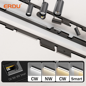 Système d'éclairage linéaire sur <span class=keywords><strong>rail</strong></span> en aluminium ERDU, design moderne, LED COB intelligente 48V, plafonnier avec <span class=keywords><strong>rail</strong></span> magnétique et piste magnétique - Product Image 2