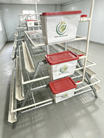 Cage à poules pondeuses de type A, nouvelle génération, populaire au Kenya, structure robuste, galvanisation à chaud, haute résistance à la corrosion, acier galvanisé à 3 niveaux
