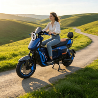 Scooter électrique tout-terrain à deux roues à couple élevé, vélo électrique urbain à batterie lithium pour trajets quotidiens, vente en gros