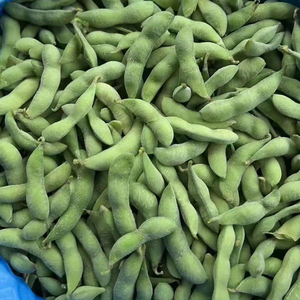 Édamame IQF <span class=keywords><strong>en</strong></span> Grains, Légumes Surgelés, Forme de Boule, Emballage <span class=keywords><strong>en</strong></span> Vrac de 10 kg, Prix Compétitif, Vente Chaude - Product Image 1