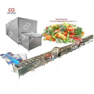 Gelgoog Cartoning Automatische Bevroren Voedselbeglazing Machine Iqf Vriezer Machine Tunnel Vriezer Bevroren Fruitmachine