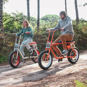 Bicicleta Eléctrica con Neumáticos Gruesos para Dos Personas, 500w, Motocicleta Deportiva para Carretera, Bicicleta Eléctrica con Neumáticos Gruesos para Pasajeros - Product Image 1