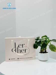 Bolsa de Regalo de Papel Personalizada al por Mayor, Bolsa de Compras Reciclable con Impresión de Logotipo, Fabricante y Proveedor OEM de Vietnam - Product Image 4