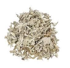 Feuilles de sauge officinale de qualité alimentaire, sauge, tulsi, produit à base de plantes séchées brutes pour utilisation en jardin, vente en gros - Product Image 3