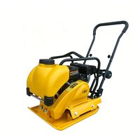 Compacteur vibrant manuel portatif mini pour le compactage des fondations de construction