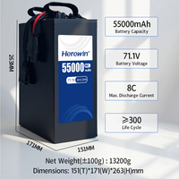 Аккумуляторный блок Herewin 8C 18S1P 71.1V 55000mAh с высокой плотностью энергии, легкий и высоковольтный, для сельскохозяйственных БПЛА-опрыскивателей