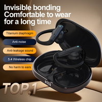 Cuffie Bluetooth D14 Personalizzate con Gancio per Orecchio, Microfono Integrato, Impermeabili IPX5, Auricolari Wireless per Ciclismo e Corsa