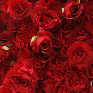 Andere Hochzeits dekorationen Hochzeit dekorative künstliche 3D rote Rose Blume Wand Hintergrund - Product Image 5