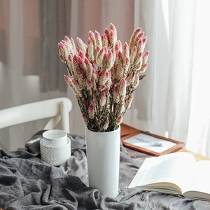 Flores Secas Ombre (Cola de Fénix/<span class=keywords><strong>Celosia</strong></span>) Blancas y Rosas de 60-70cm para Regalos de Navidad y Decoración del Hogar - Product Image 3