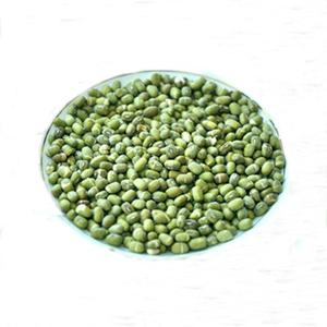 Légumes déshydratés pour <span class=keywords><strong>plat</strong></span> instantané <span class=keywords><strong>Lyophilisé</strong></span> FD <span class=keywords><strong>lyophilisé</strong></span> pois verts haricots - Product Image 2