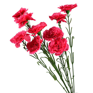Fleur artificielle en soie Dongchen Crafts, œillet de 7,5 cm de diamètre, pour décoration intérieure et accessoires de mariage - Product Image 5