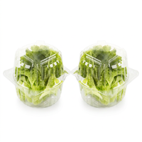 Boîtes carrées en PET transparentes, jetables, recyclables, de qualité alimentaire, épaisseur 0,78 mm, avec couvercles, logo personnalisé pour gâteaux, sushis, etc.