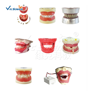 28 pz staffa artificiale tutta <span class=keywords><strong>Ortho</strong></span> ceramica modello dente medicale denti Nissin modello - Product Image 4