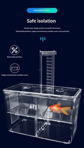 Mini incubateur multifonctionnel, aquarium transparent, boîte d'isolation pour l'élevage des poissons - Product Image 5