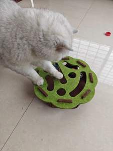 Nuevo Juguete para Gatos con Diseño Personalizado, Material Ecológico, Uso Interior/Exterior, MDF/Fieltro, Juguete de Rompecabezas para Mascotas, Juguete para Excavar Agujeros - Product Image 4