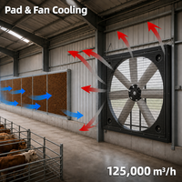 Ventilateur de refroidissement à haut débit d'air avec 6 pales en alliage et moteur BLDC pour serres