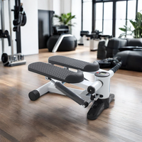 Équipement d'entraînement à domicile Stepper d'escalier pour l'exercice Mini Steppers avec bande de résistance Hydraulic Fitness Stepper