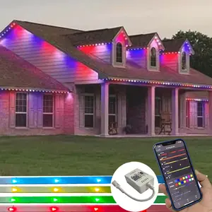 Ucs2904ジェムストーンクリスマスライト屋外防水LEDポイントライトRGB LEDライトアミューズメント用