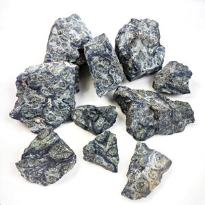 Oferta por tiempo limitado, cristal Natural de alta calidad, energía Reiki, Kambaba, <span class=keywords><strong>jaspe</strong></span>, trozos de piedra en bruto para regalo DIY - Product Image 4