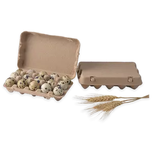 Accept customized printing 15 holes biodegradable pulp quail egg boxes at factory price