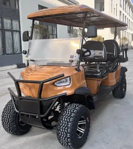 Hot Sale Gas Golf Cart 6 Passenger Gasoline Powered Golf Cart Buggy