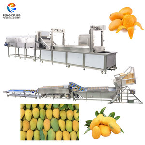 Mango <b>Processing</b> Machine Mango Washing Blanching and Hot Drying Machine Customized Mangoes <b>Processing</b> <b>Line</b> - Product Image 1
