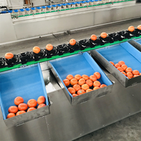 Sorteermachines En Sorteermachines Voor Groenten En Fruit, Producten Voor De Grootte, Sorteermachine Voor Fruit En Sortering