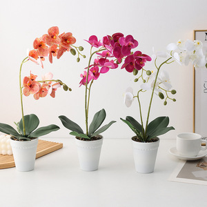 Set de Plantas Artificiales Decorativas de Phalaenopsis y <span class=keywords><strong>Suculentas</strong></span> <span class=keywords><strong>en</strong></span> Maceta para Decoración del Hogar y Arreglos Florales - Product Image 4