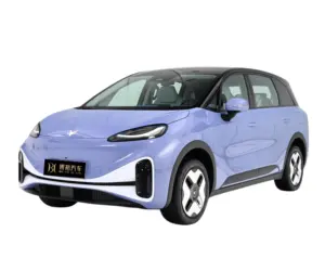 New Energy Vehicle BAIC Extreme Fox Koala 2023 Parent-child model adult vehiche