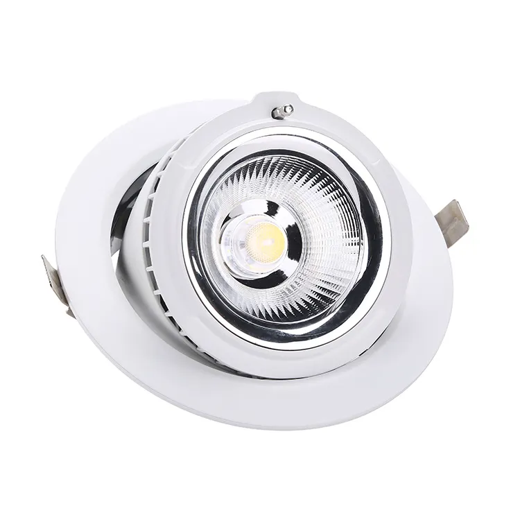 Stralingshoek 120 graden 38 w 30 w led verstelbare downlight 30 w cob led downlight gimbal