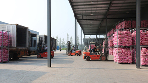 Venta al por mayor de Ajo Blanco chino de 5cm con GLOBAL GAP Venta caliente Buen <span class=keywords><strong>precio</strong></span> Exportador de ajo blanco normal fresco - Product Image 4