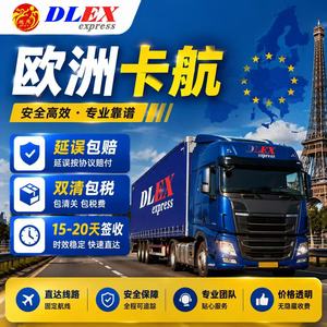 Service de fret ferroviaire DLEX Chine-Europe vers la Pologne, l'Allemagne, la France, le Royaume-Uni, l'Italie, la République tchèque, la Hongrie - Product Image 3