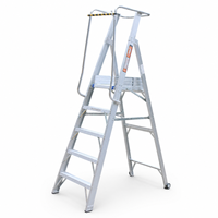 Échelle pliante robuste en aluminium avec main courante, design moderne, certifiée CE, capacité de charge de 150 kg, pour usage industriel, entrepôt, salle de sport