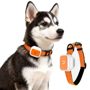 Collier de suivi GPS pour <span class=keywords><strong>chien</strong></span>/chat de haute qualité G01, suivi en temps réel, positionnement intelligent, anti-perte, localisateur GPS - Product Image 5