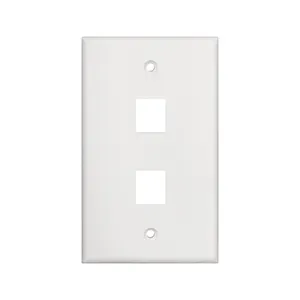 2 Ports Keystone Jack US Low Voltage Wall Plate