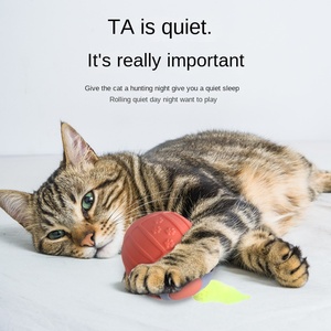 Pet eco-compatibile gravità cane gatto giocattolo intelligente palla rotolante elettrico auto da corsa di piccole dimensioni in gomma siliconica - Product Image 4