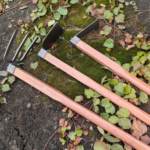 Outil manuel de jardinage en acier au carbone de qualité industrielle pour bricolage manche en bois pour jardinage en plein air efficace - Product Image 3