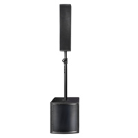 Subwoofer Profesional Activo de 12 Pulgadas y 8 Ohmios con Caja Acústica y DSP