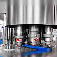 Machine de remplissage d'eau monobloc en acier inoxydable 304, 3 en 1 (rincage, remplissage, bouchage) pour la production d'eau minérale et pure