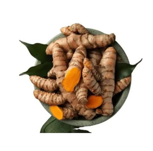Raíces de Cúrcuma Naturales, Especia Aromática para la Elaboración de Alimentos, Uso Culinario, Comercio al por Mayor y Exportación - Product Image 1