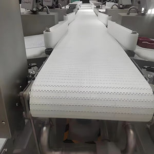 Ligne de convoyage durable en acier inoxydable et plastique pour l'abattage de la viande, avec vitesse réglable, pour applications dans l'industrie alimentaire - Product Image 1