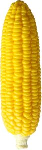 Sensory Stress-Relieving Corn <b>Squishies</b> Stress Relief Novelty Toy Soft Scented Simulation Corns Squeeze Toys - Product Image 2