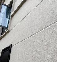 Revêtement mural en granit auto-nettoyant élastique avec particules à effet pierre, granit liquide pour la décoration extérieure des appartements